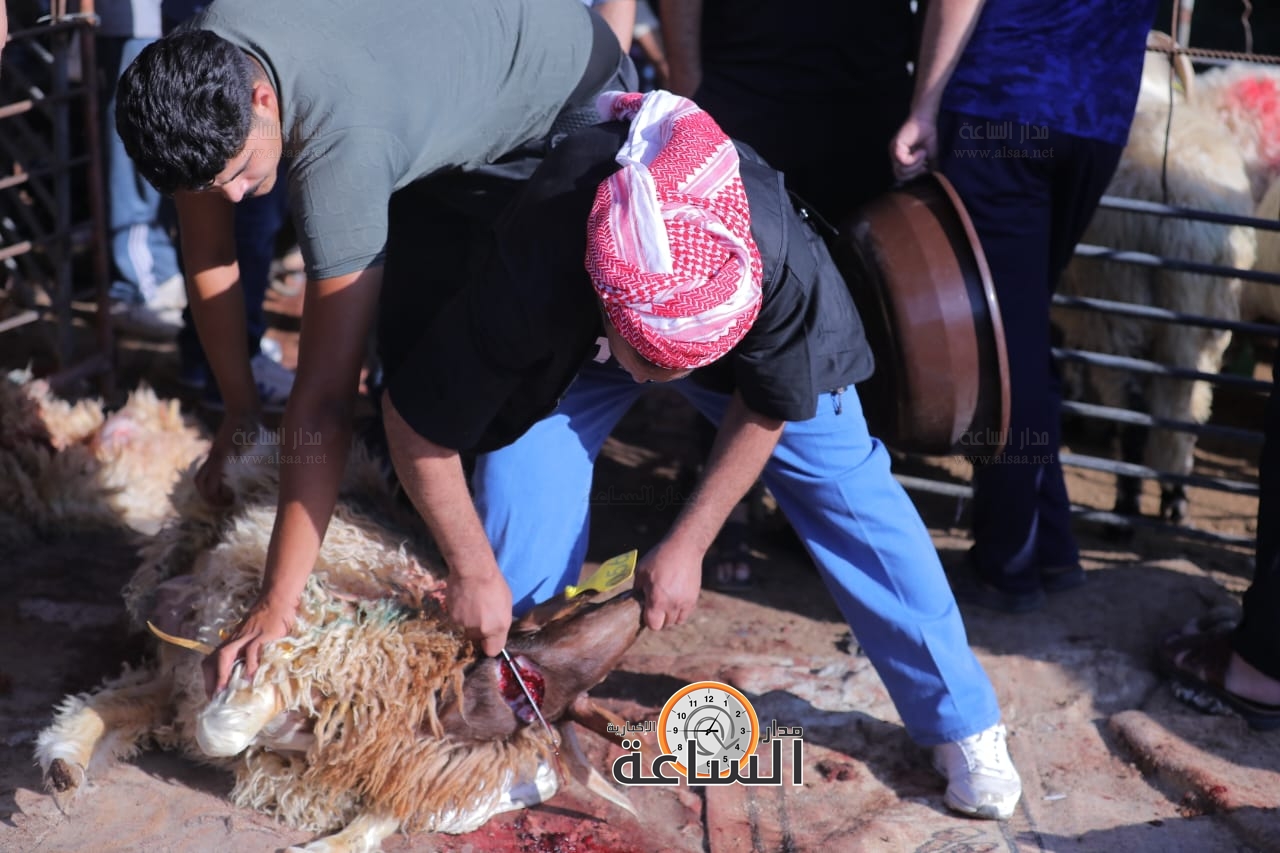 Madar Al-Saa Images 0.07321159818581324