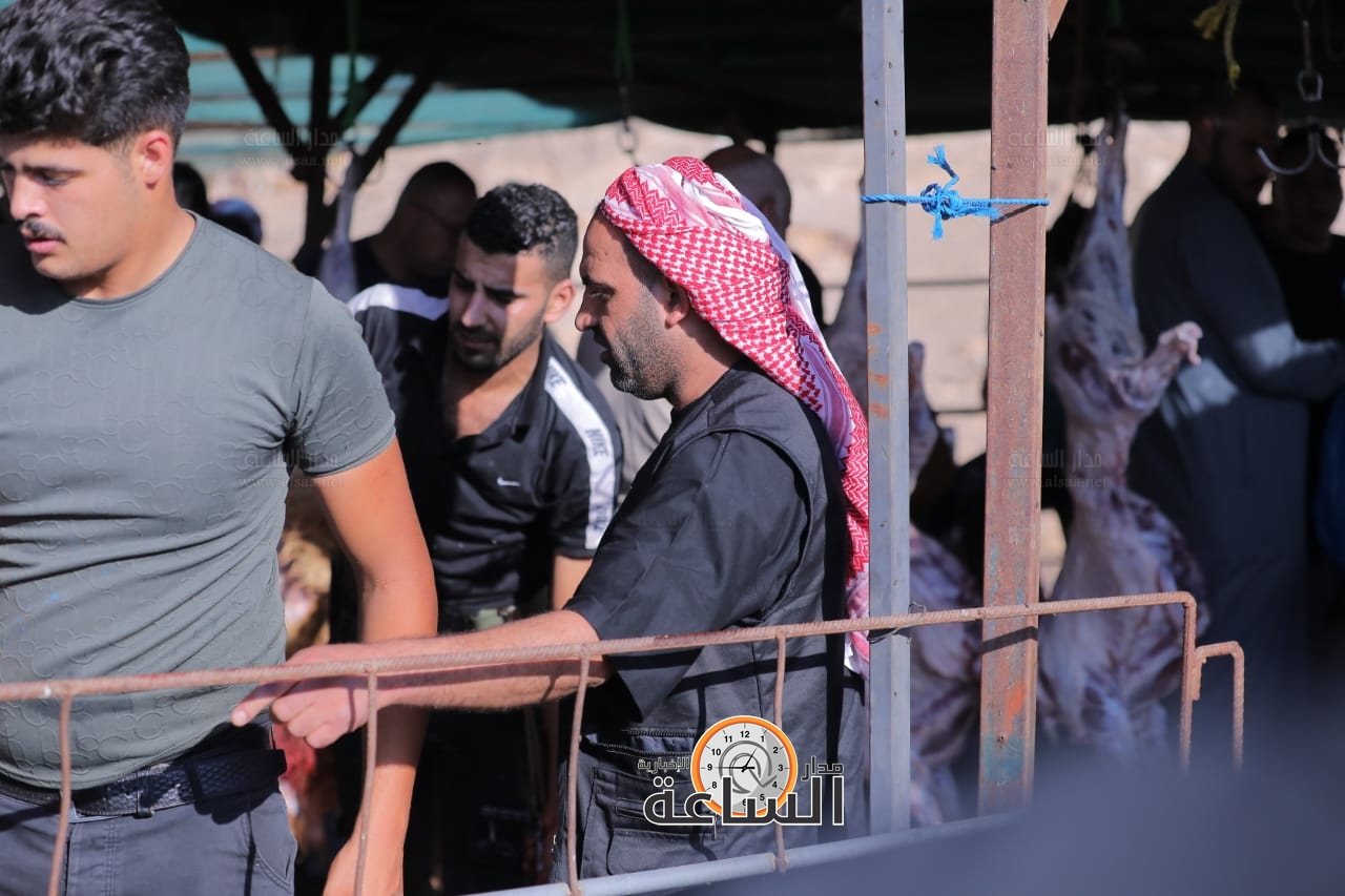 Madar Al-Saa Images 0.9400774887290557