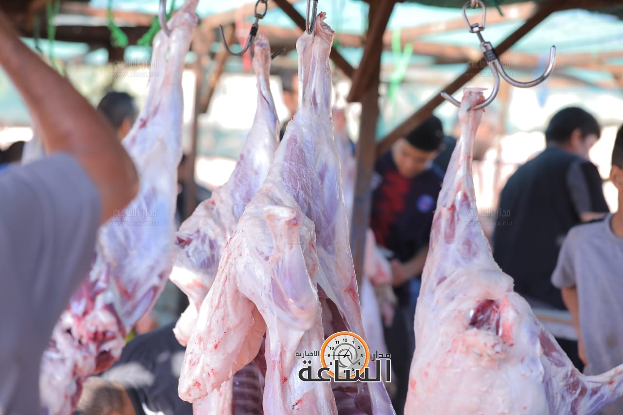 Madar Al-Saa Images 0.6143033835672997