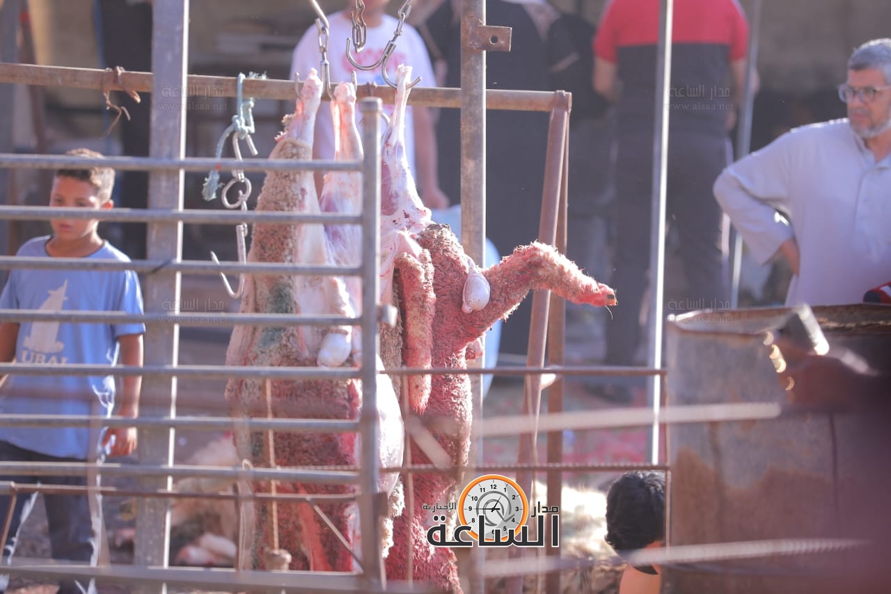 Madar Al-Saa Images 0.5808781248140027