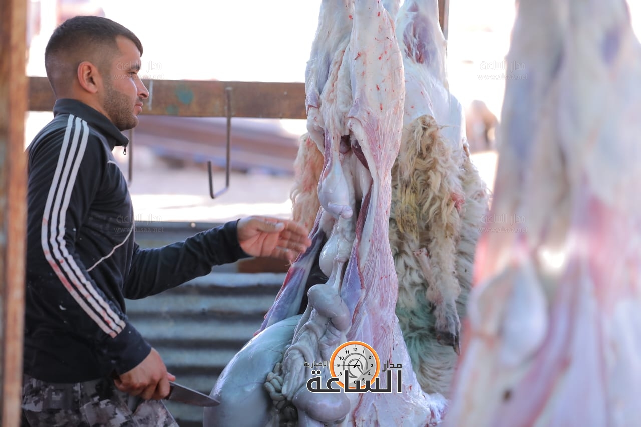 Madar Al-Saa Images 0.06947875462860287