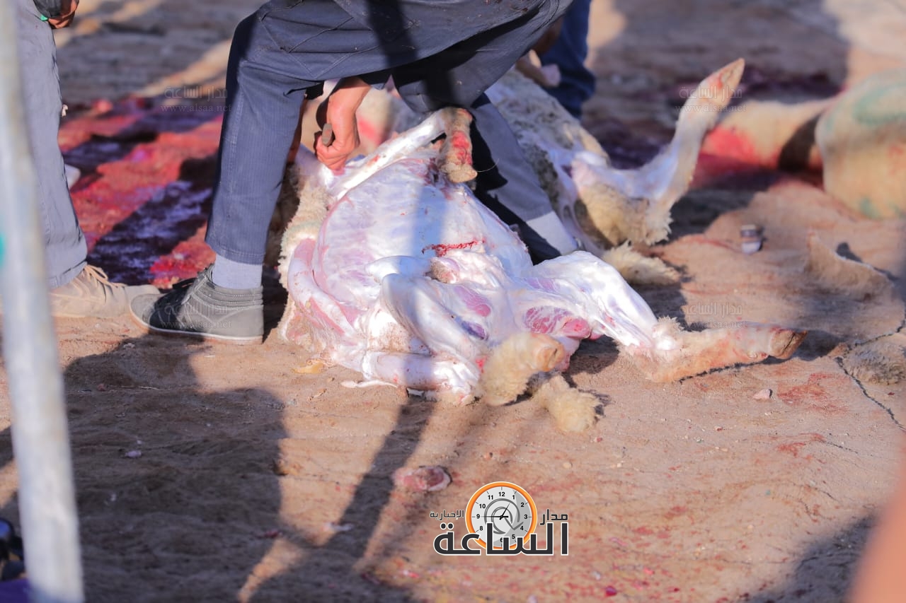 Madar Al-Saa Images 0.6940339298651721