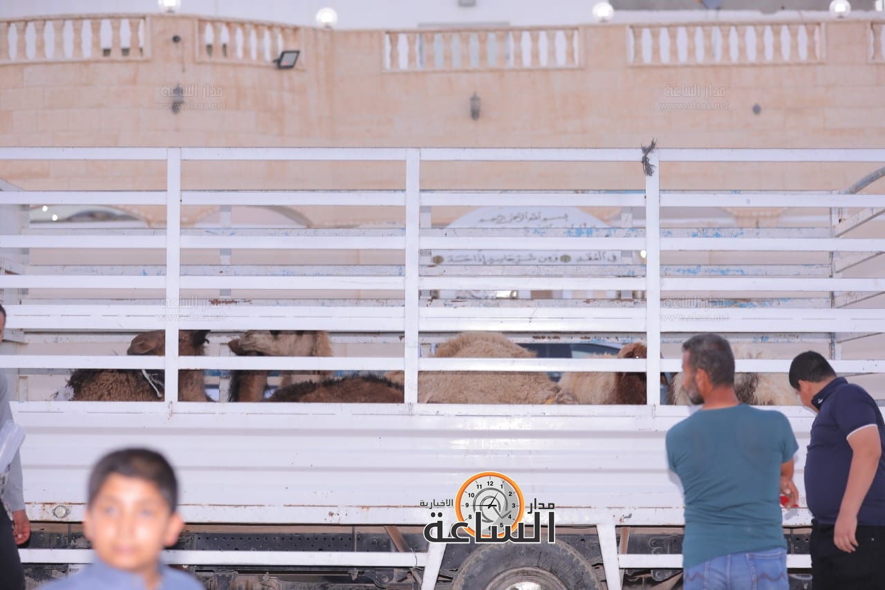 Madar Al-Saa Images 0.9128431371926373