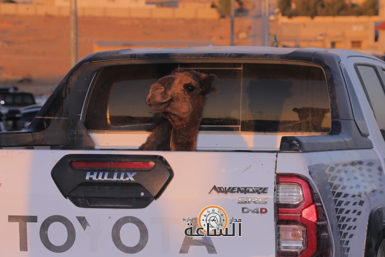 Madar Al-Saa Images 0.17632589705591095