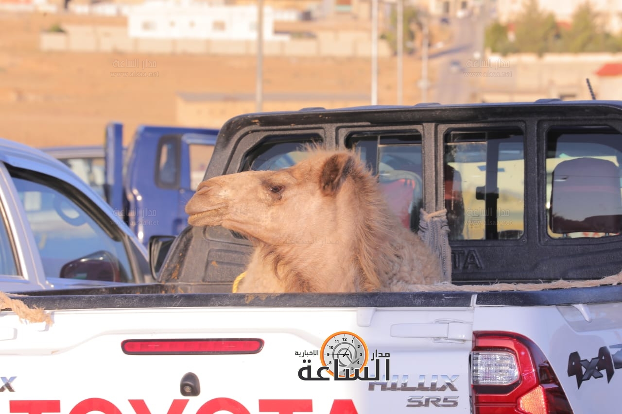 Madar Al-Saa Images 0.4696642608056485