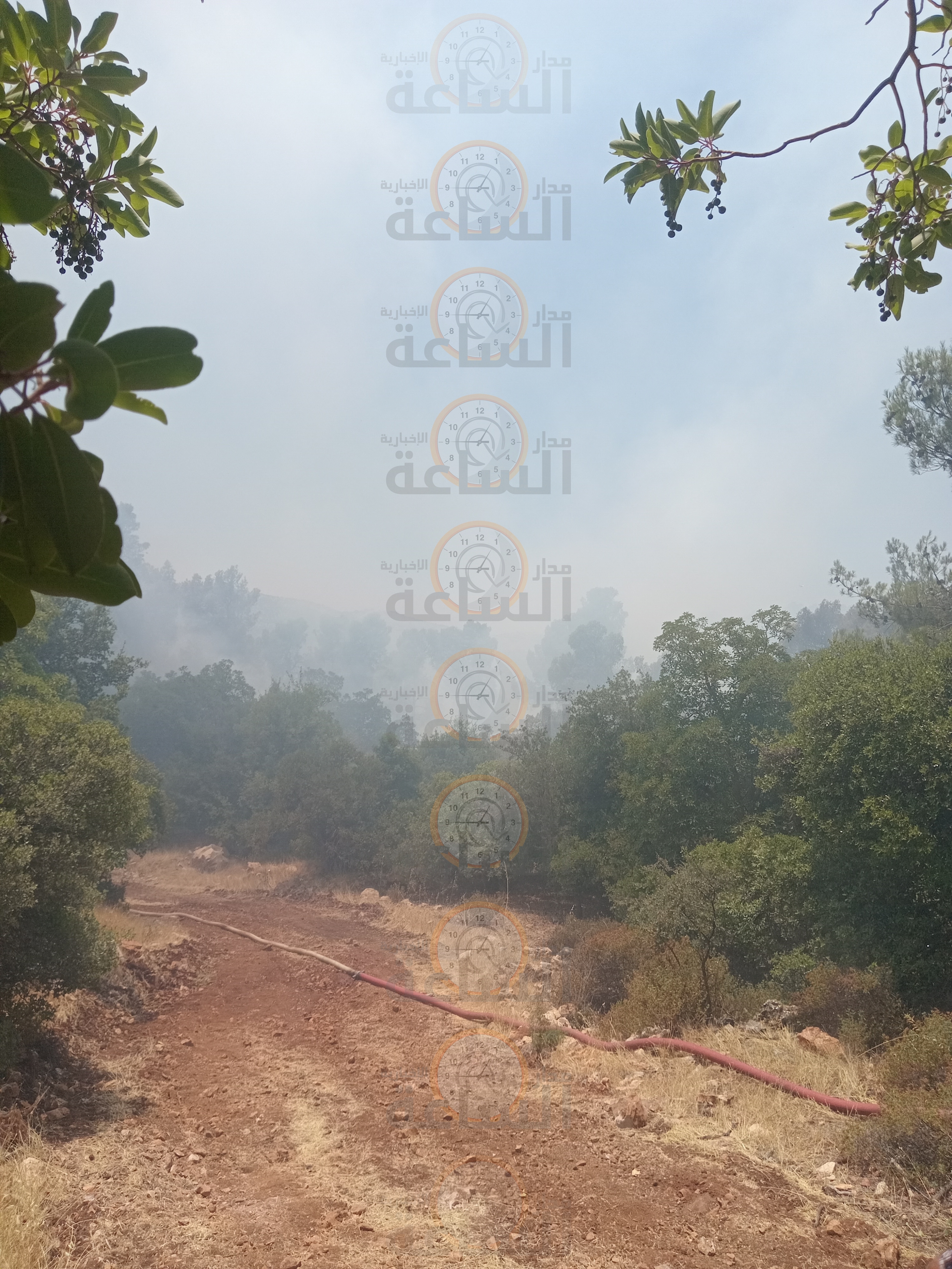 Madar Al-Saa Images 0.360945722645591