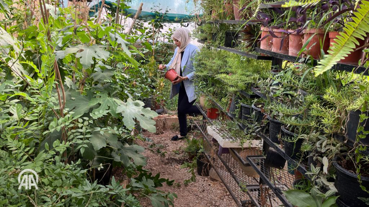 Madar Al-Saa Images 0.5754743868603727