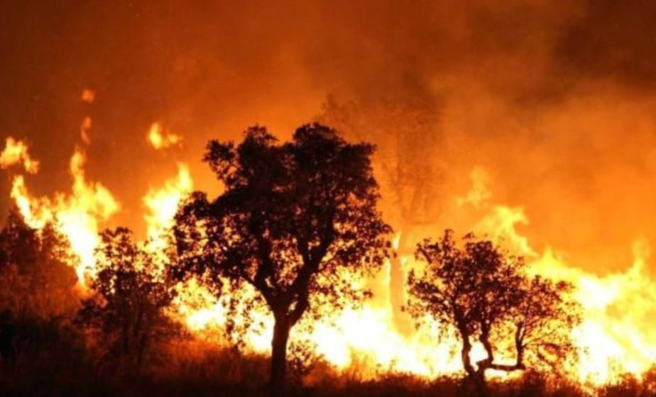 Madar Al-Saa Images 0.8839208811033554