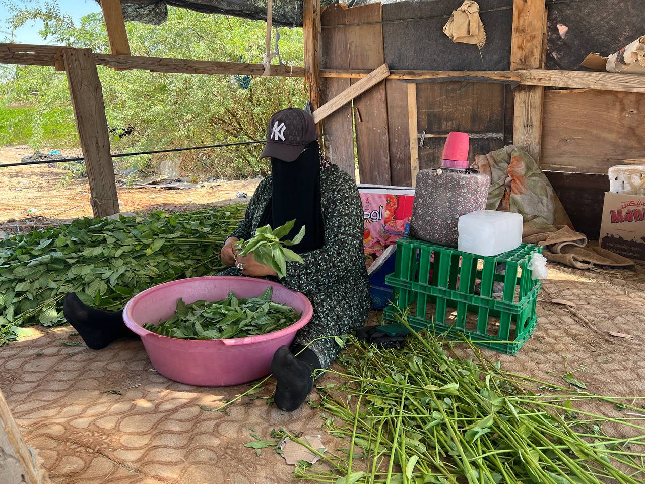 Madar Al-Saa Images 0.8764721535323059