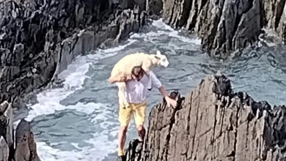 Madar Al-Saa Images 0.17103731738315764