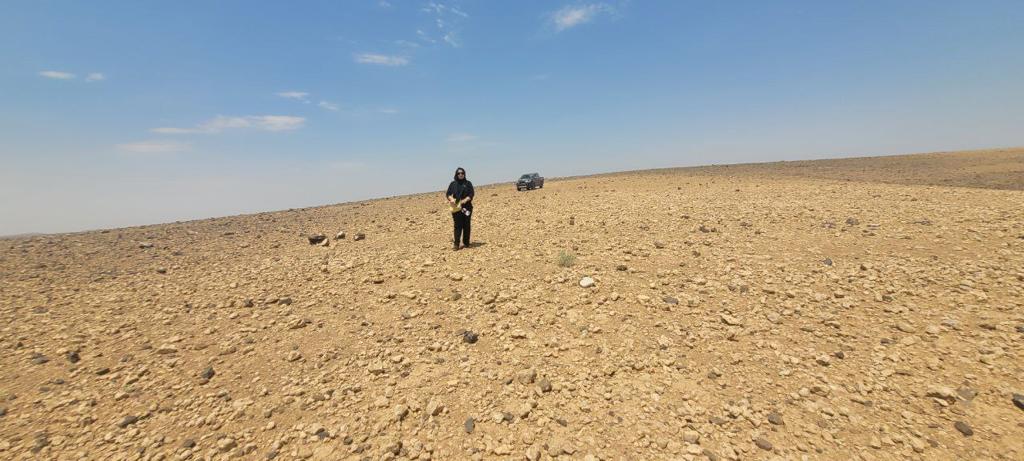 Madar Al-Saa Images 0.4913094297043856