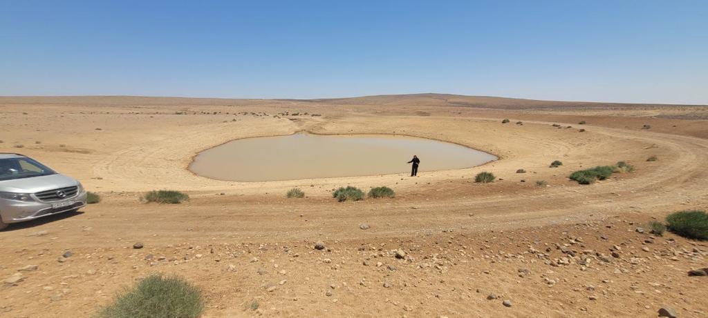 Madar Al-Saa Images 0.472863241421718