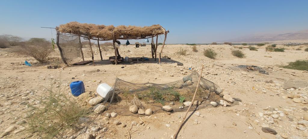 Madar Al-Saa Images 0.31988346203491247