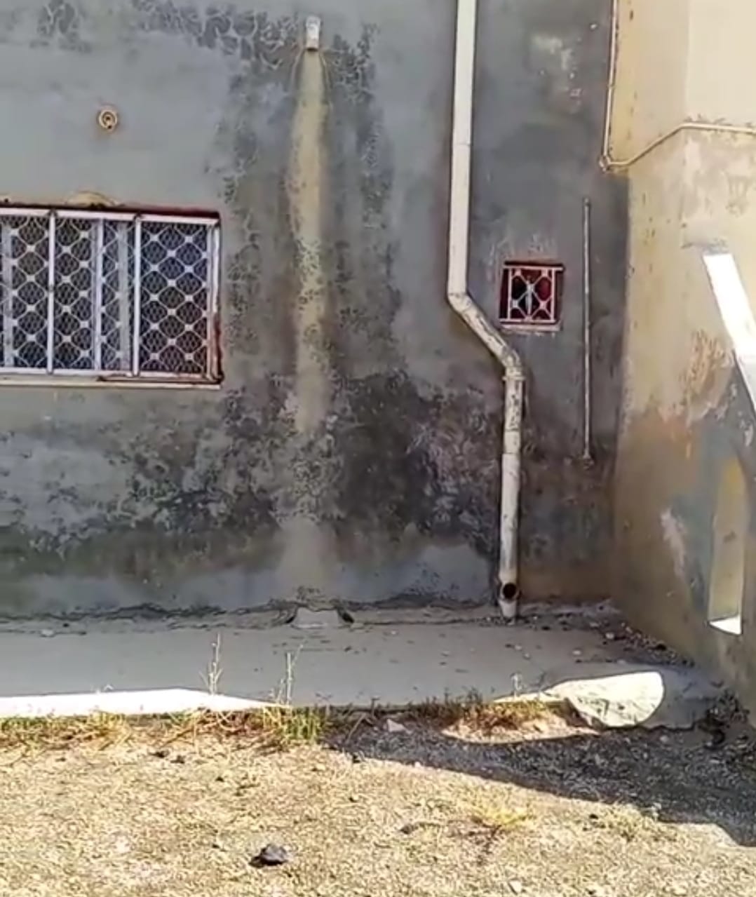 Madar Al-Saa Images 0.9946447173180504