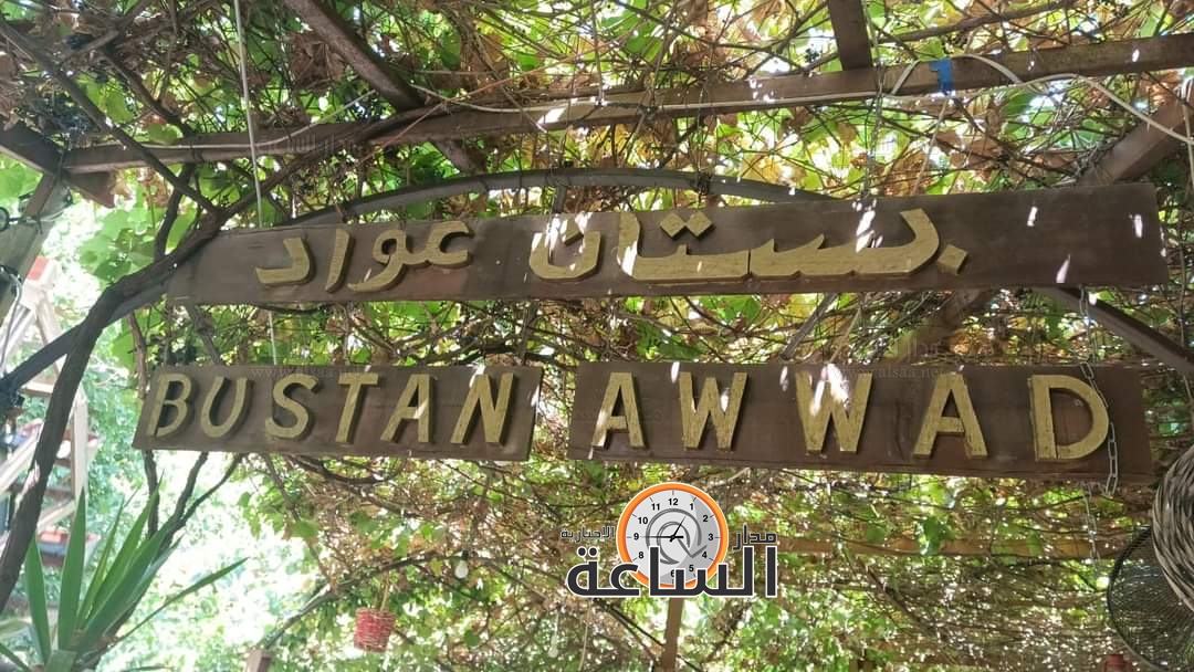 Madar Al-Saa Images 0.023247160763222974