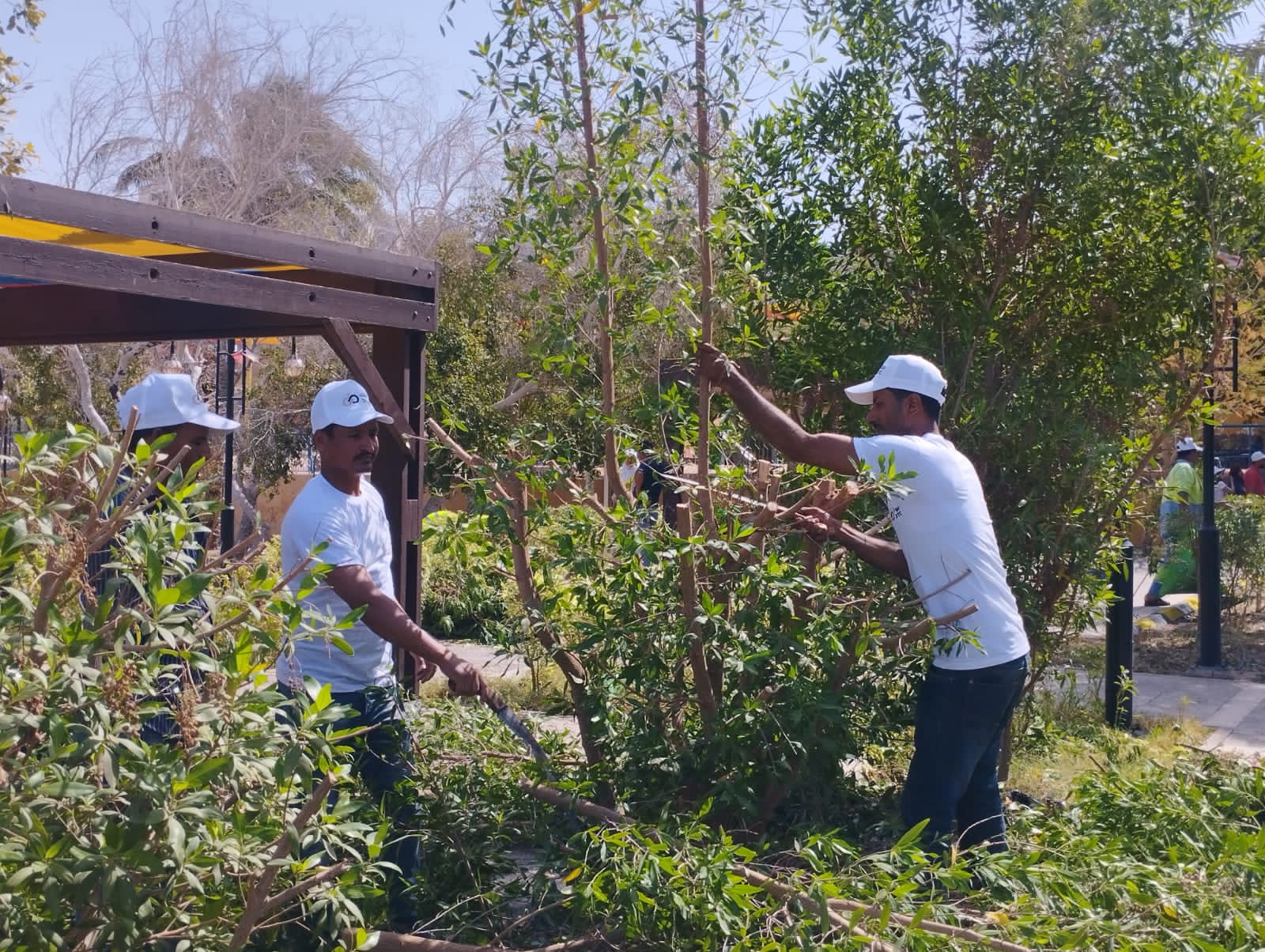 Madar Al-Saa Images 0.398273252545962