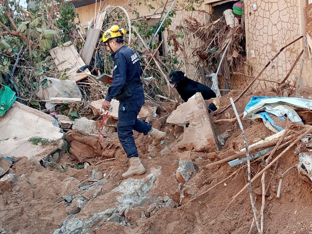 Madar Al-Saa Images 0.05341121563791229