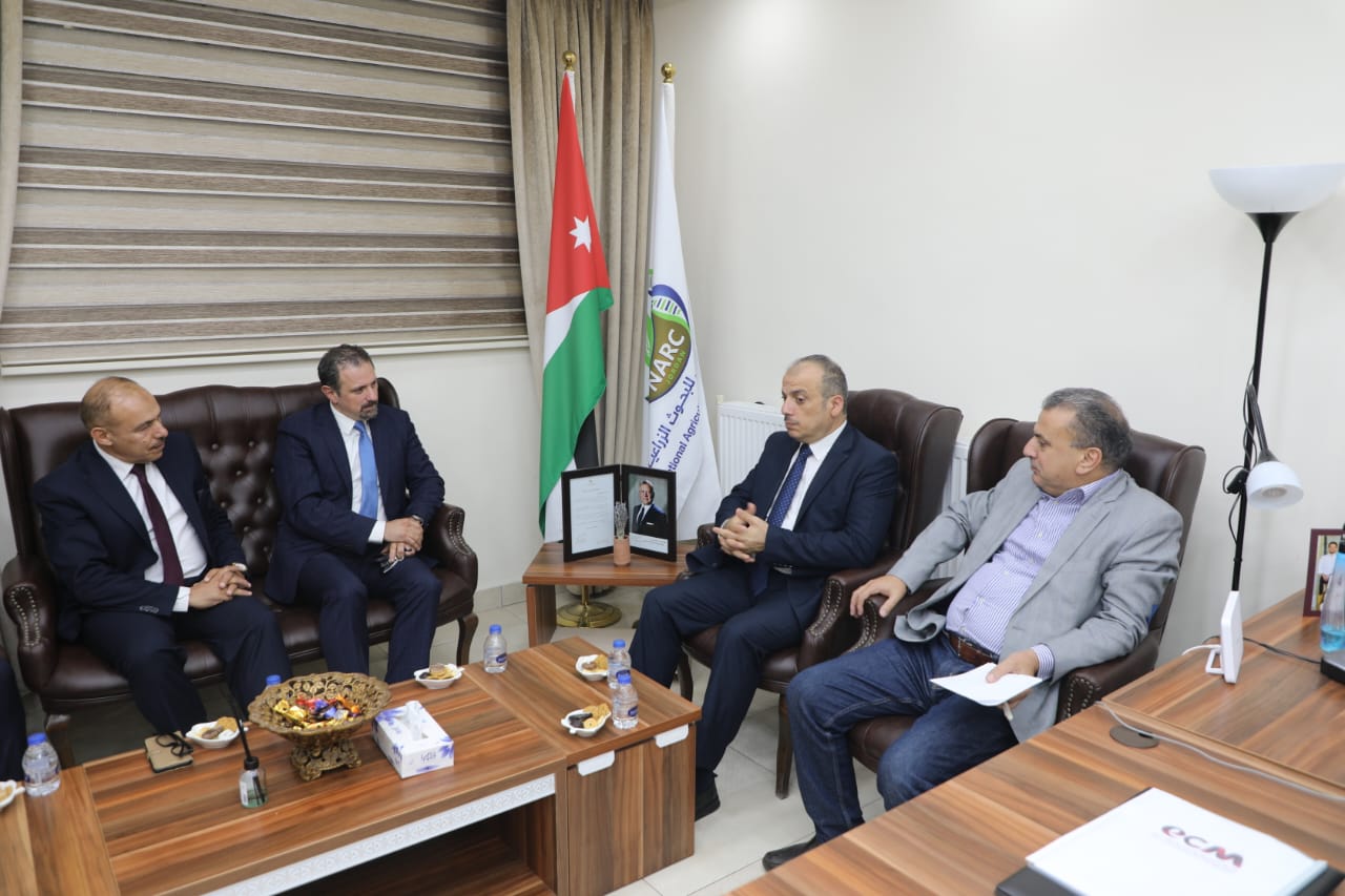 Madar Al-Saa Images 0.9850335789201539