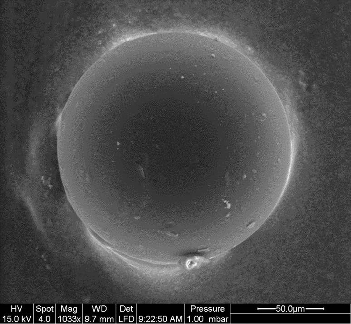 Madar Al-Saa Images 0.9555673192830241