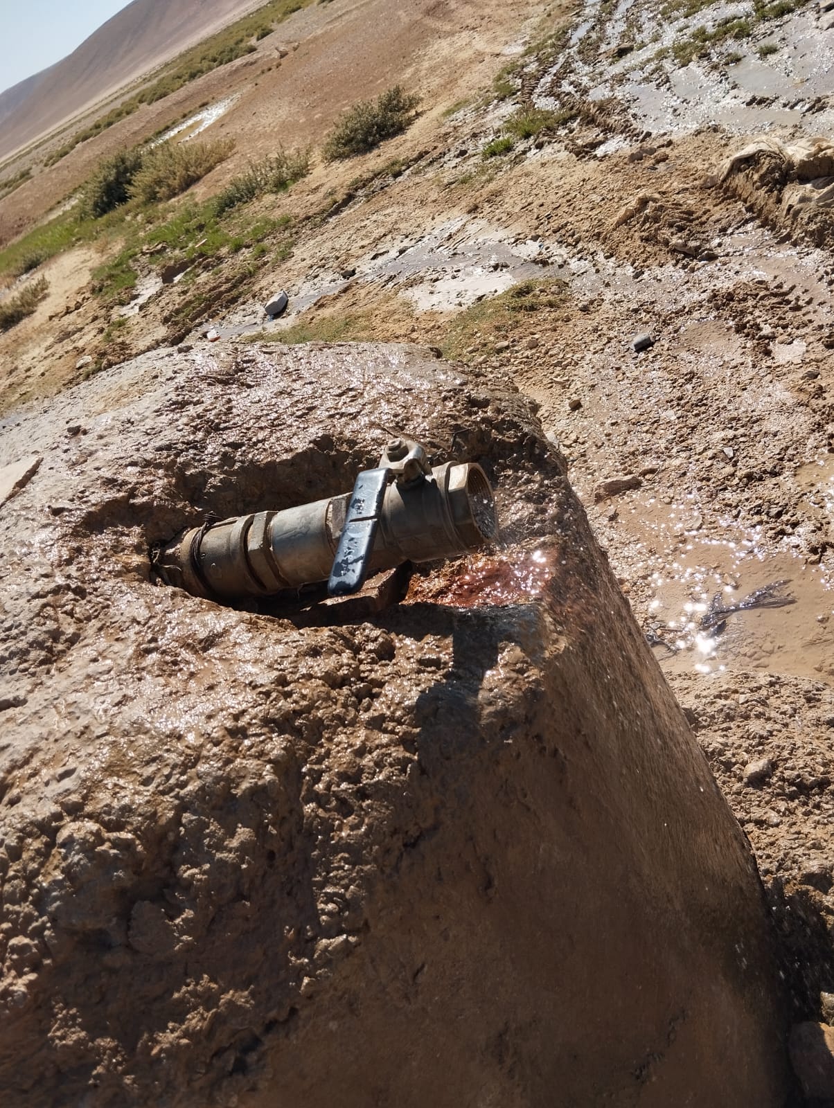 Madar Al-Saa Images 0.5279363759851634