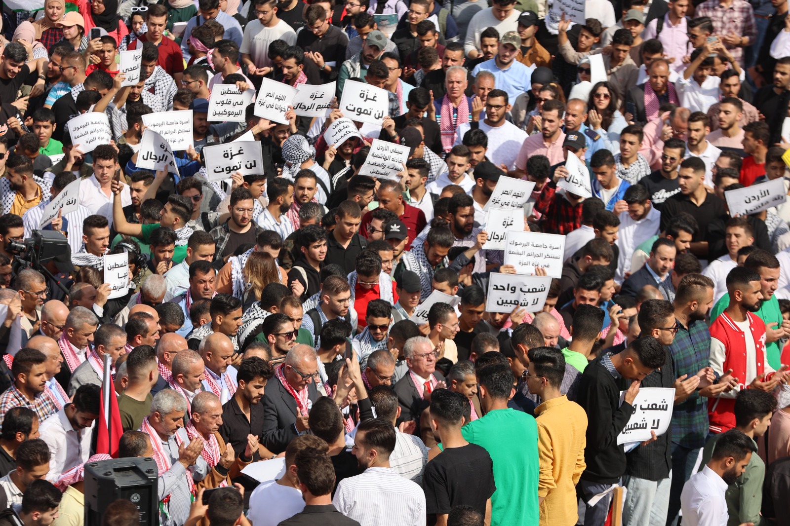 Madar Al-Saa Images 0.5017864159610899