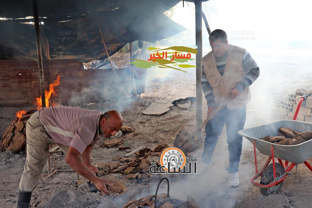 Madar Al-Saa Images 0.4232239713664898