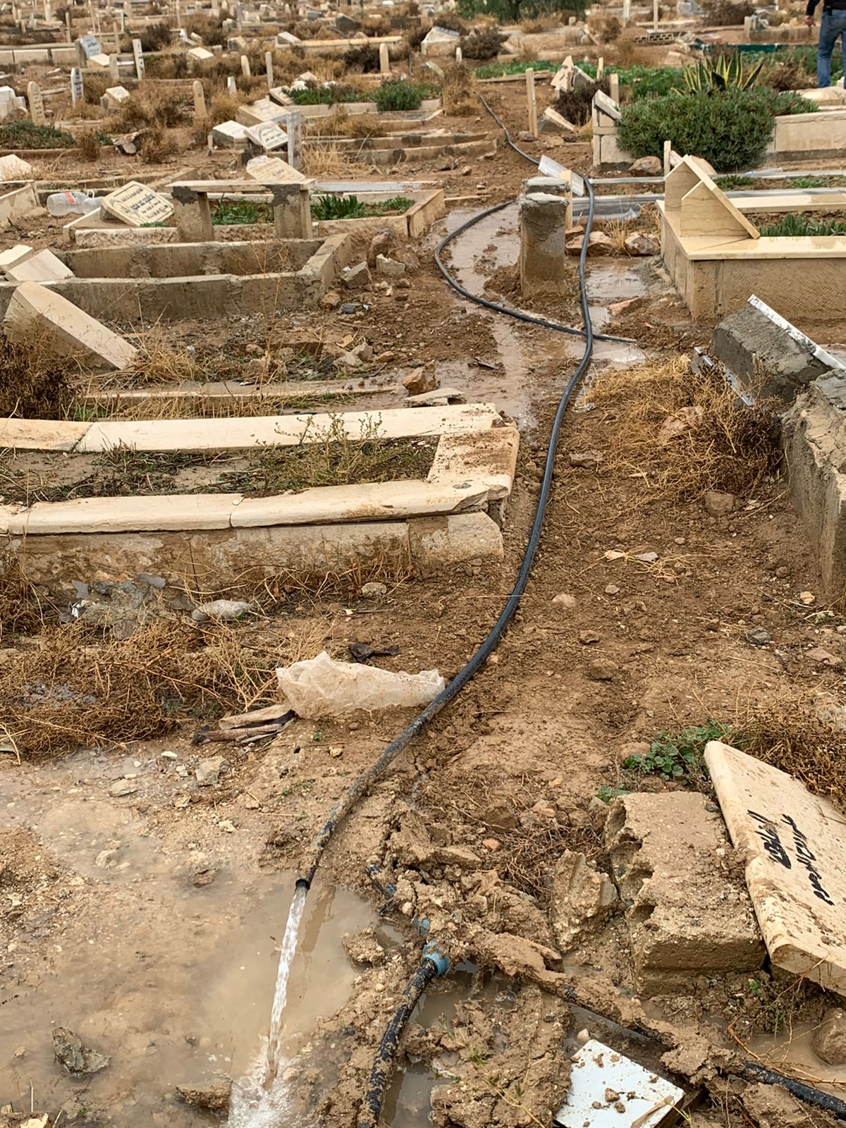 Madar Al-Saa Images 0.7676347652395719