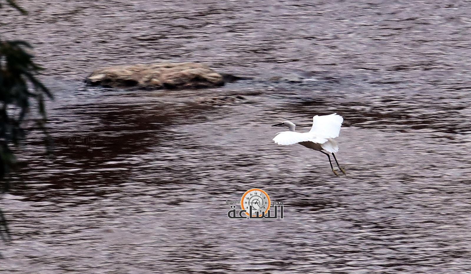 Madar Al-Saa Images 0.2992722142158579