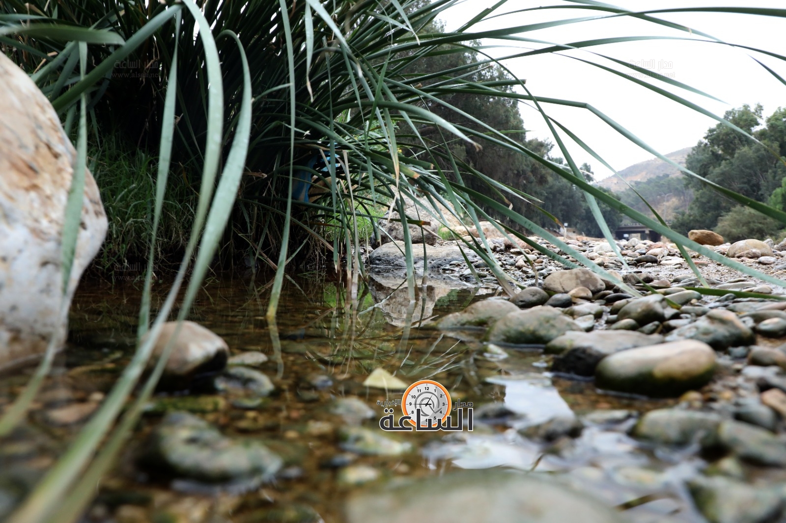 Madar Al-Saa Images 0.03888099320204441