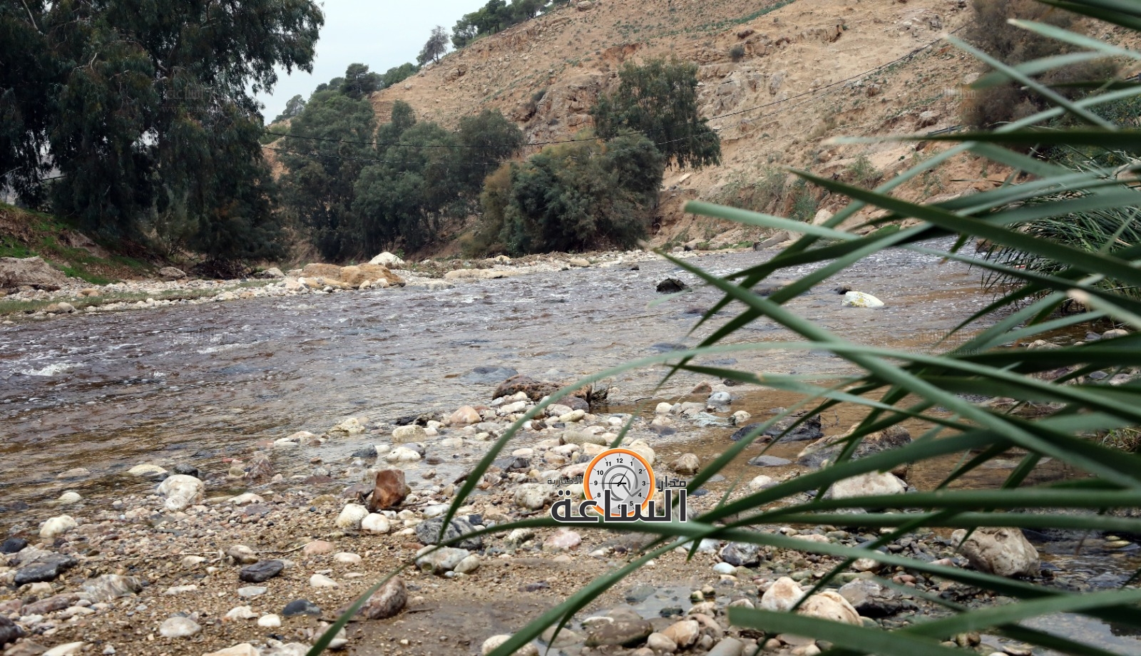 Madar Al-Saa Images 0.9088153878587364