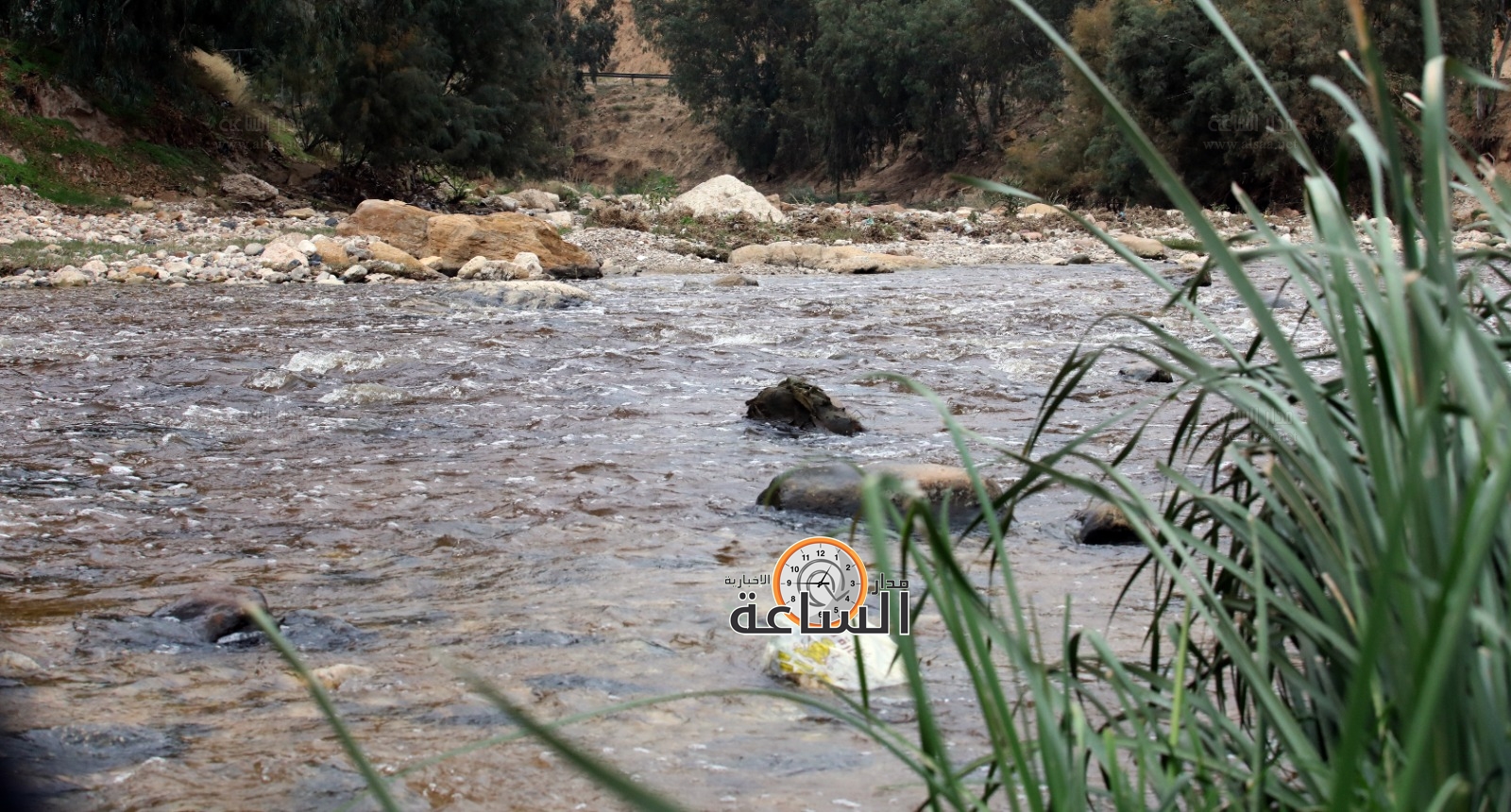 Madar Al-Saa Images 0.4409939846600568