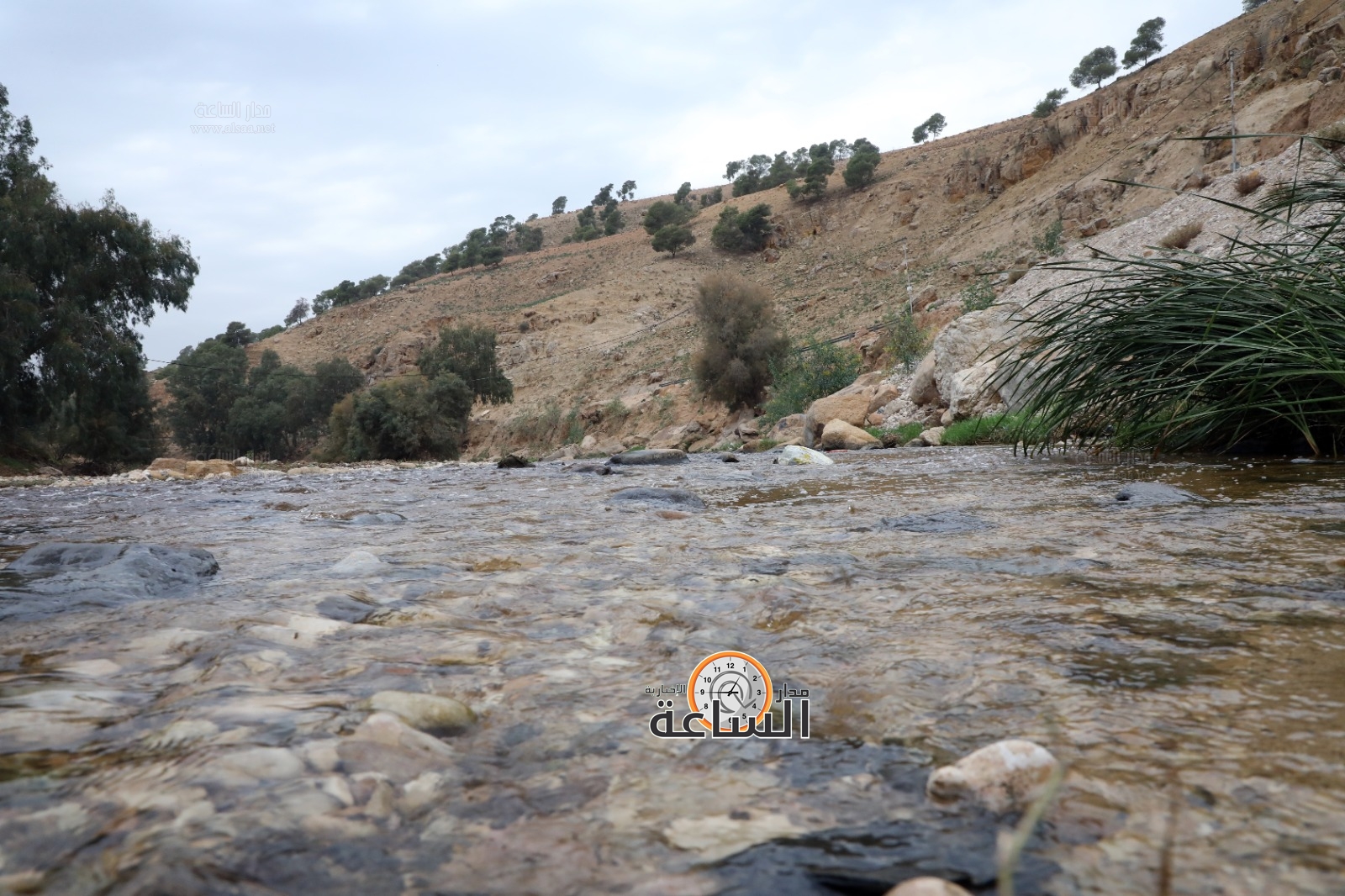 Madar Al-Saa Images 0.20143708580328834