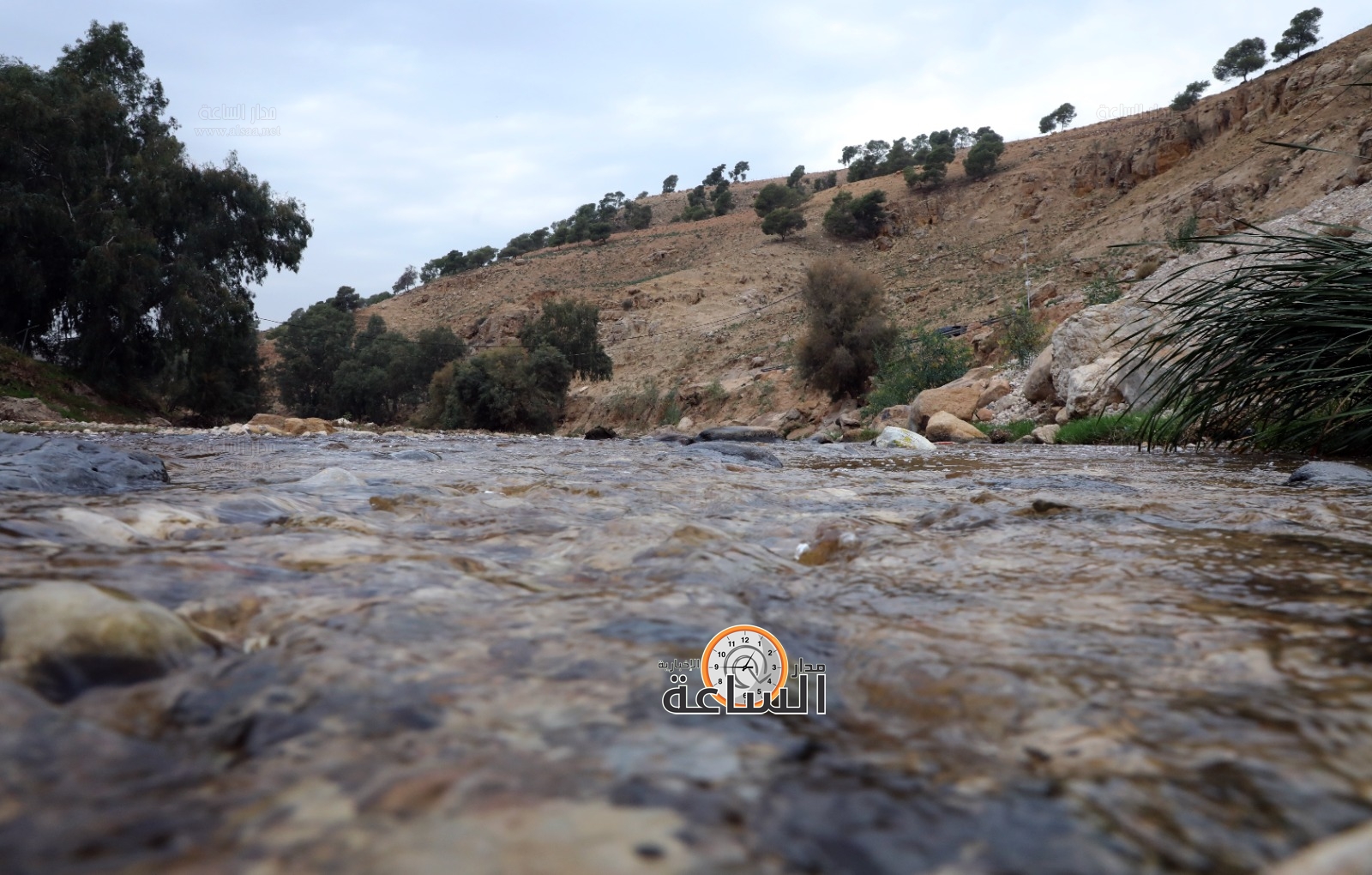 Madar Al-Saa Images 0.1328221304414925