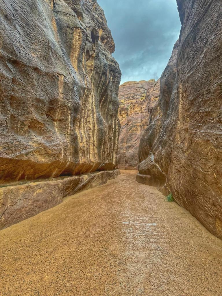 Madar Al-Saa Images 0.6666333779185627