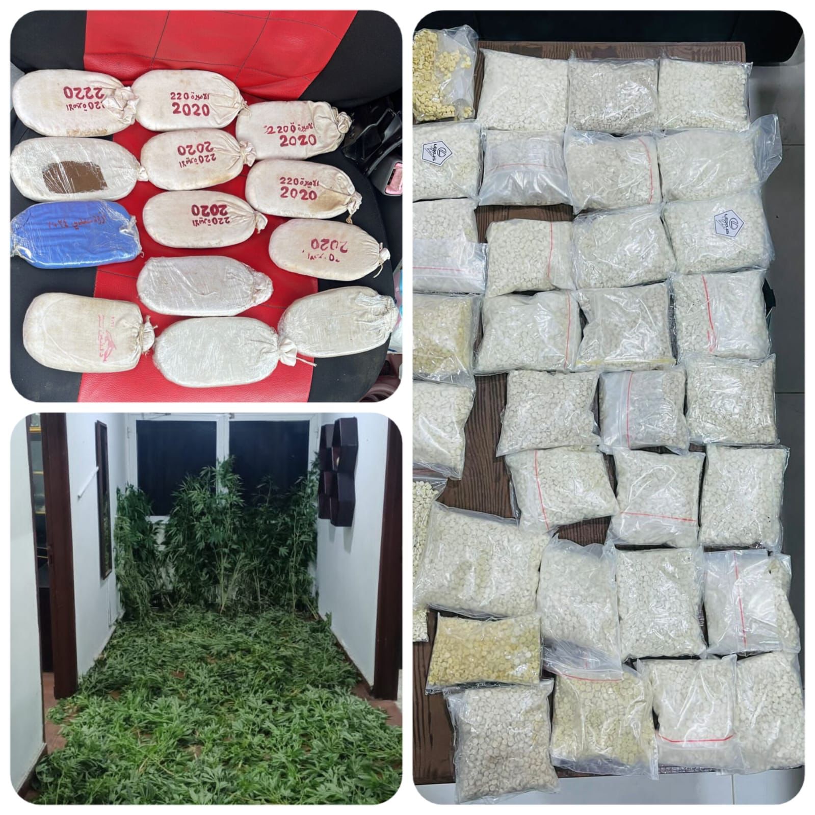 Madar Al-Saa Images 0.8000810057771739