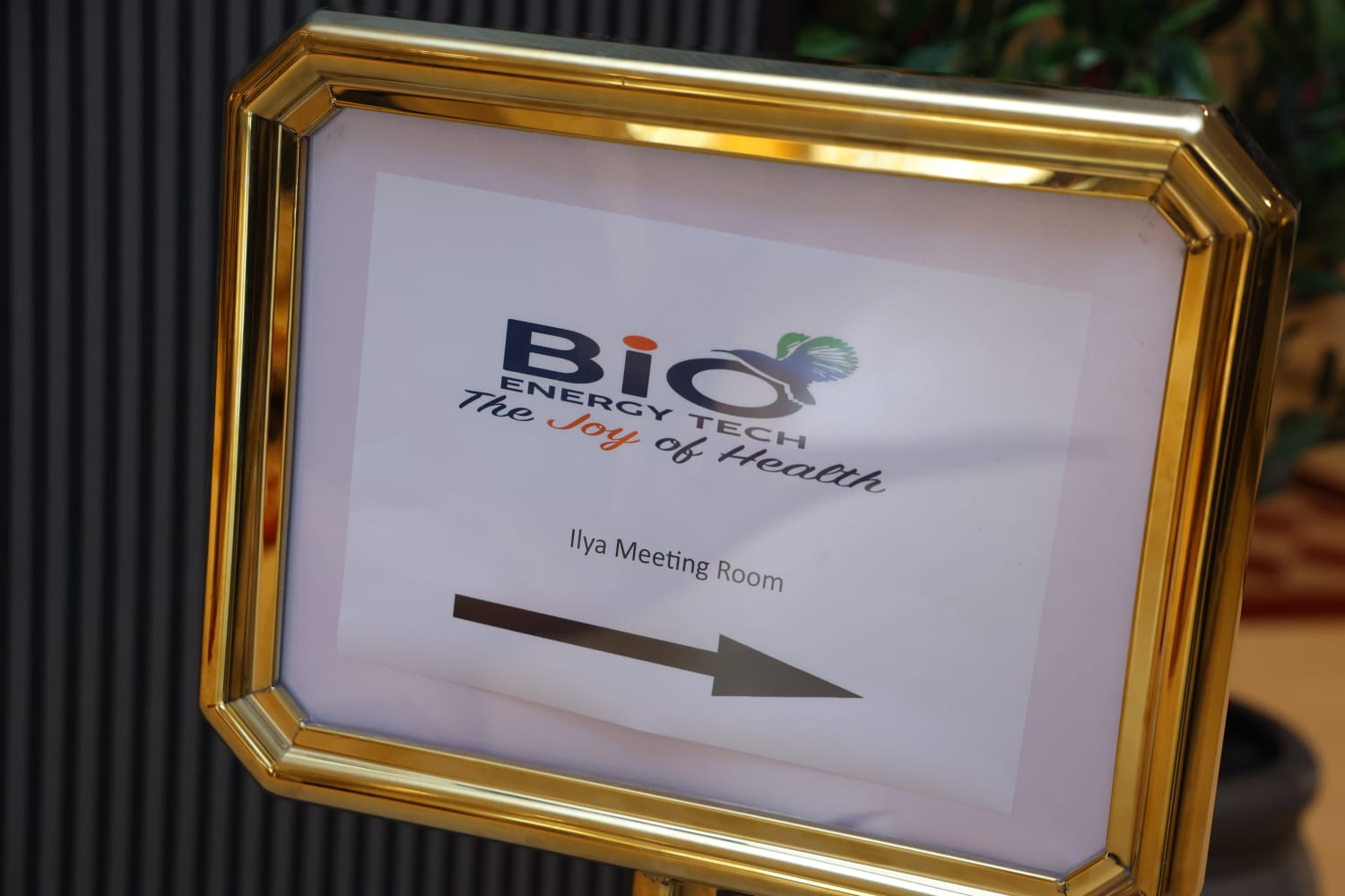 Madar Al-Saa Images 0.49586045221374353