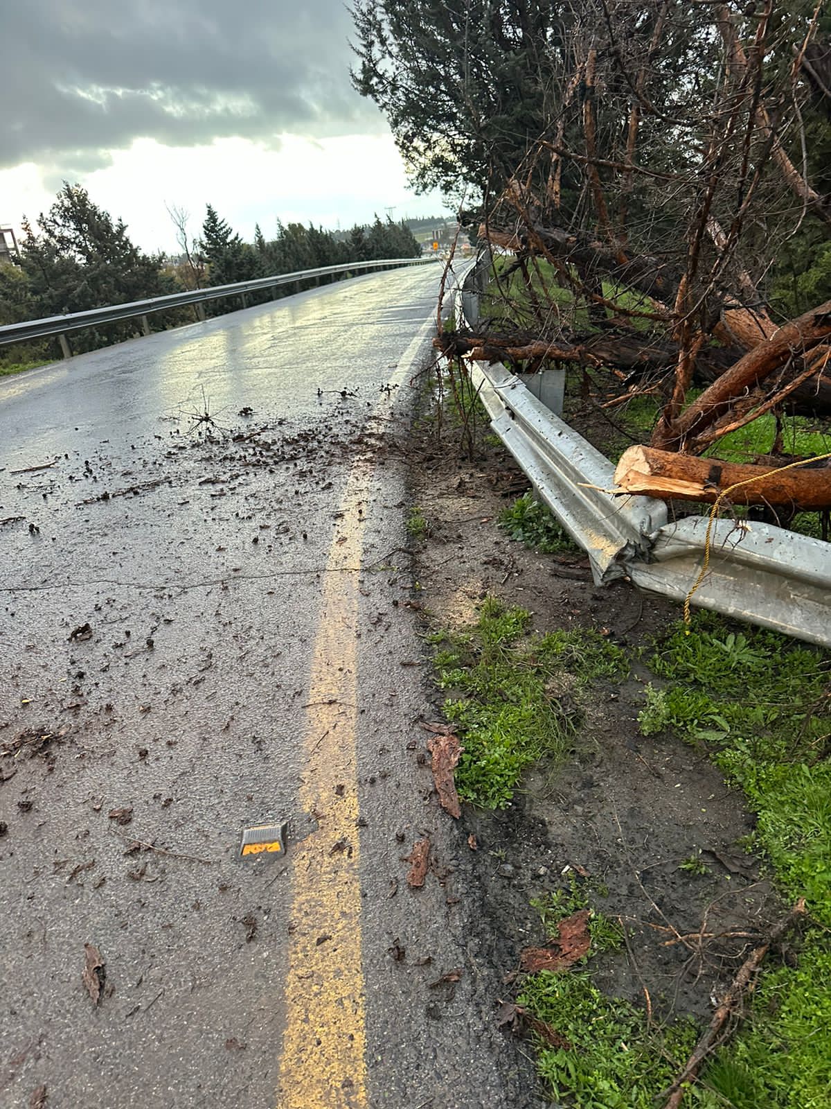 Madar Al-Saa Images 0.2974476031474247