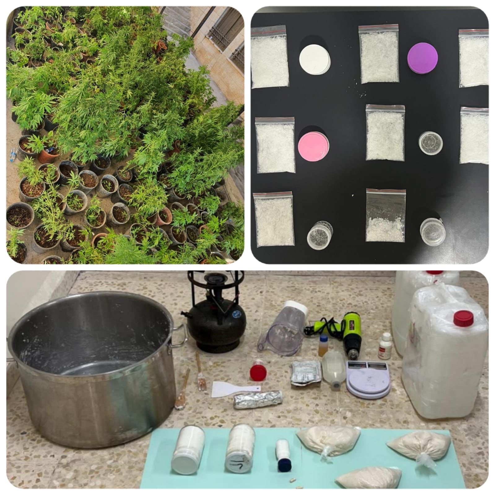 Madar Al-Saa Images 0.43860816802626545