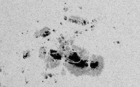 Madar Al-Saa Images 0.7724888382346682