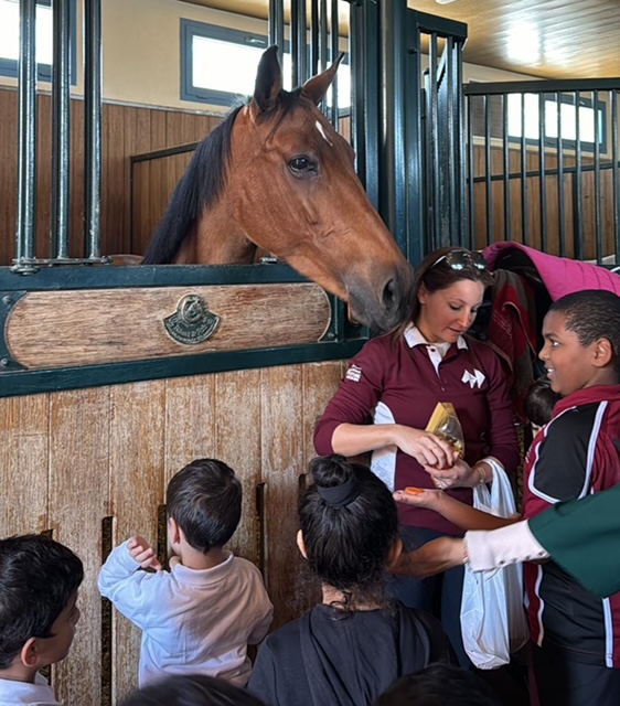 Madar Al-Saa Images 0.3490928587426292