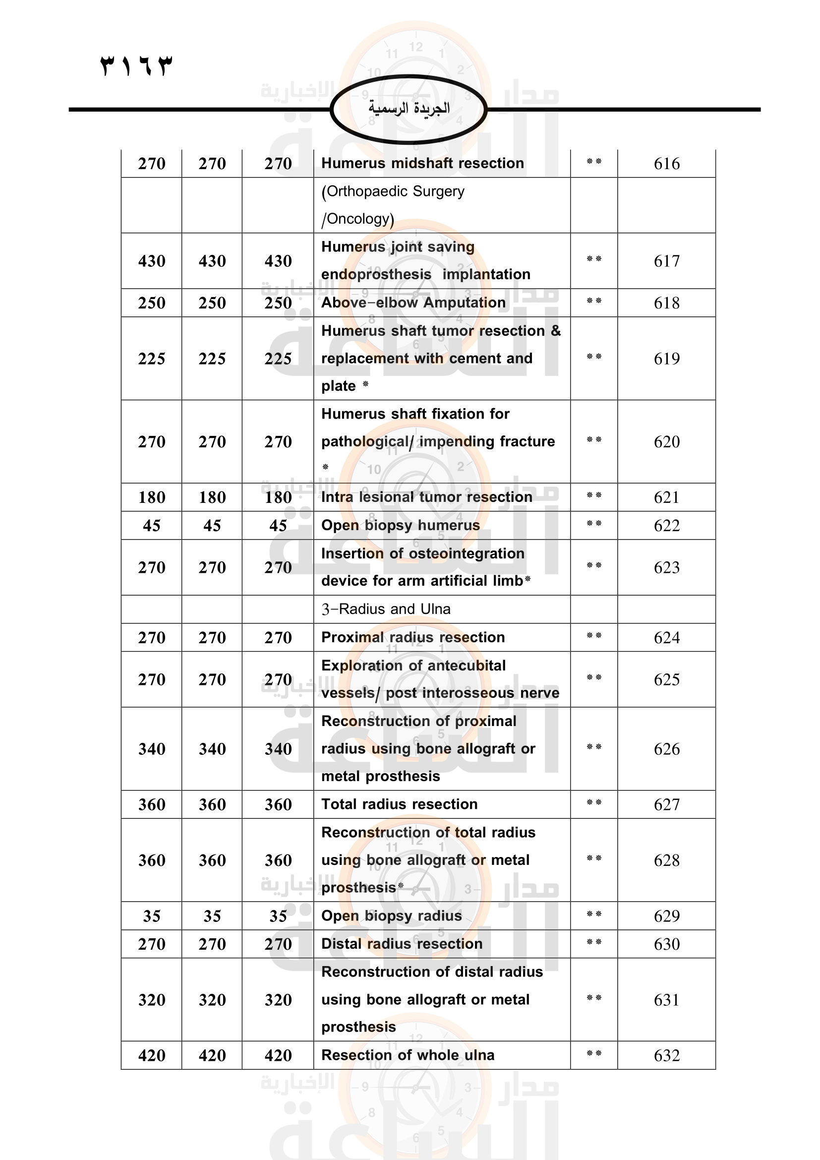 Madar Al-Saa Images 0.7106621880628894
