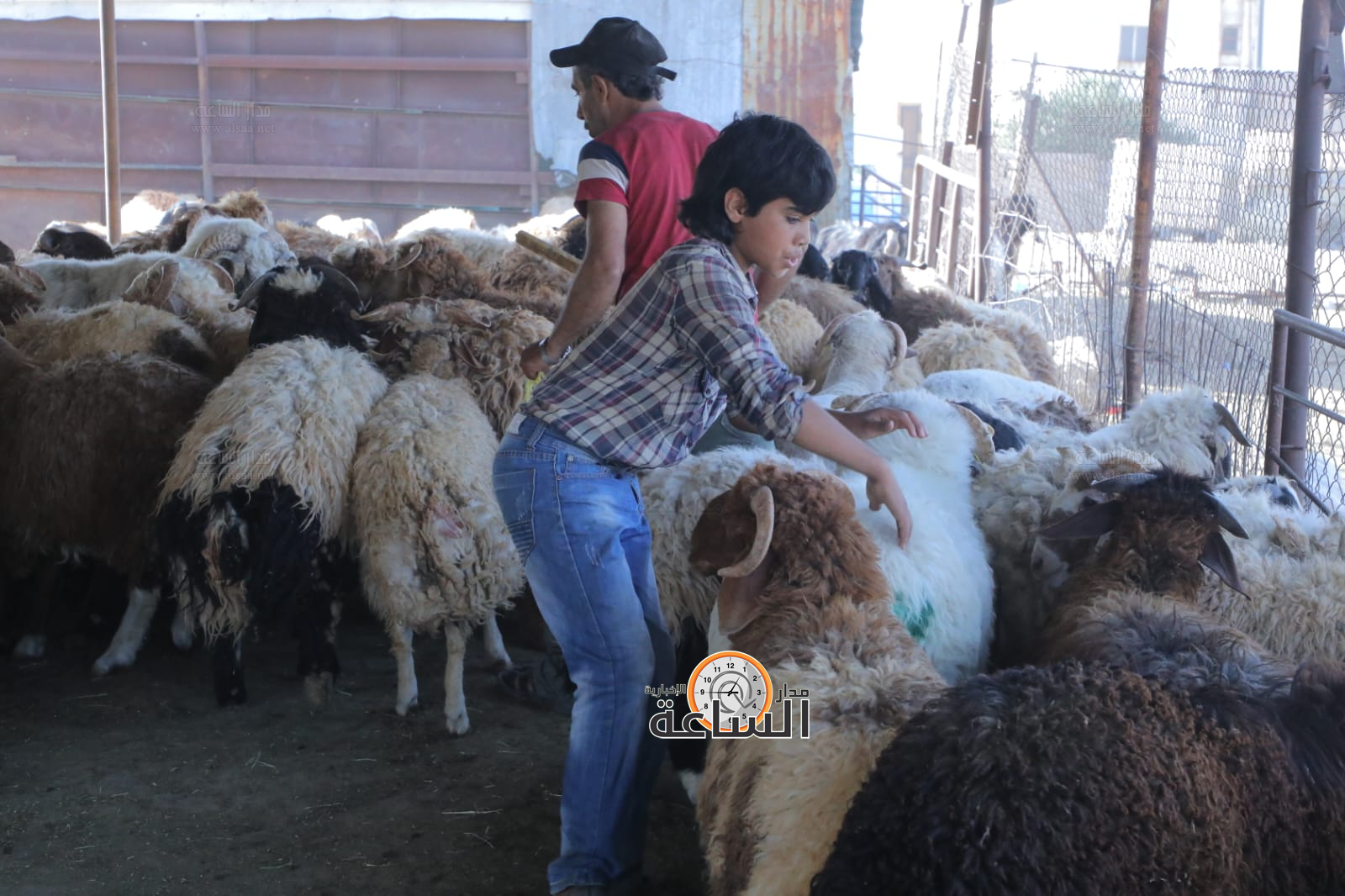 Madar Al-Saa Images 0.9541076332796017