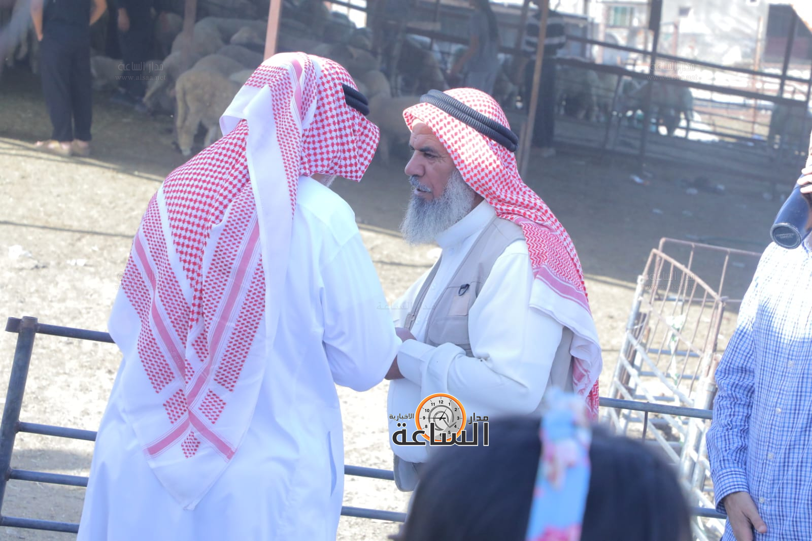 Madar Al-Saa Images 0.08381696917005255