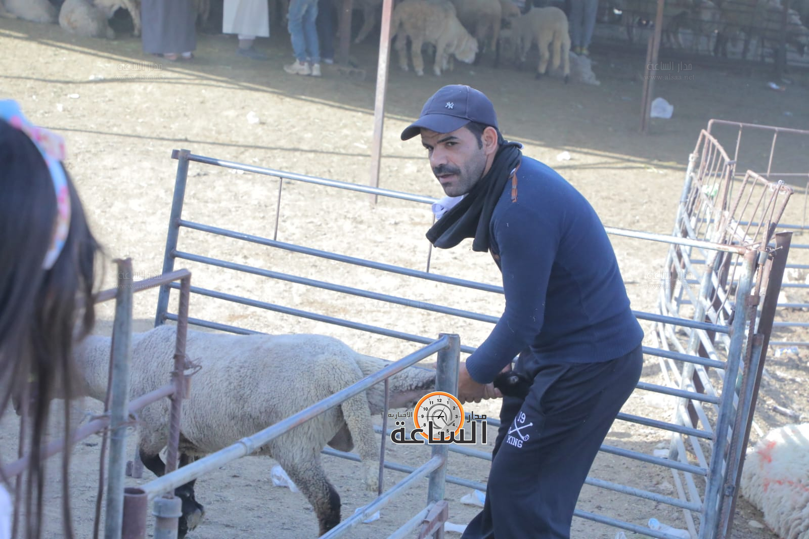 Madar Al-Saa Images 0.5467436116368456