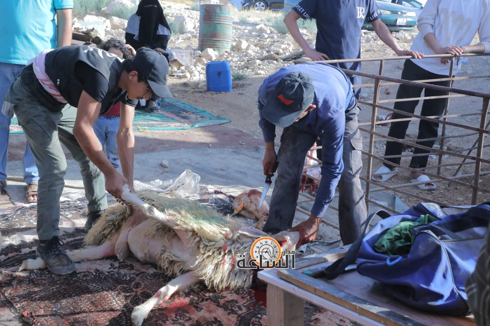 Madar Al-Saa Images 0.1312769403746803