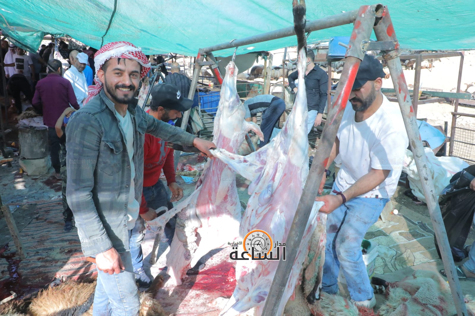 Madar Al-Saa Images 0.22497658519335273