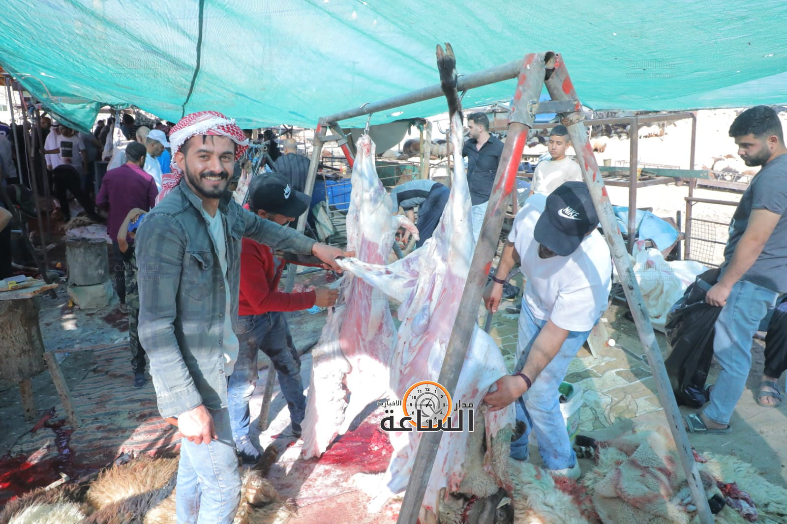 Madar Al-Saa Images 0.02333840367723239