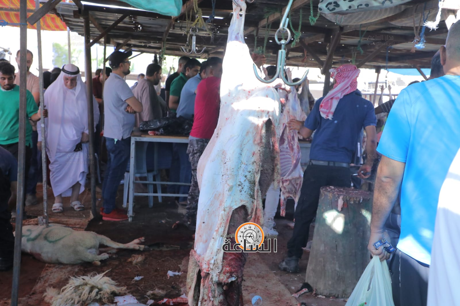 Madar Al-Saa Images 0.6723894307373595