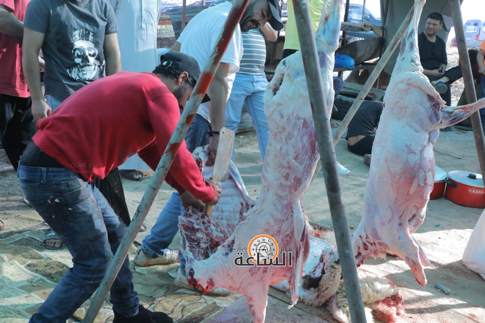 Madar Al-Saa Images 0.8794534069207036