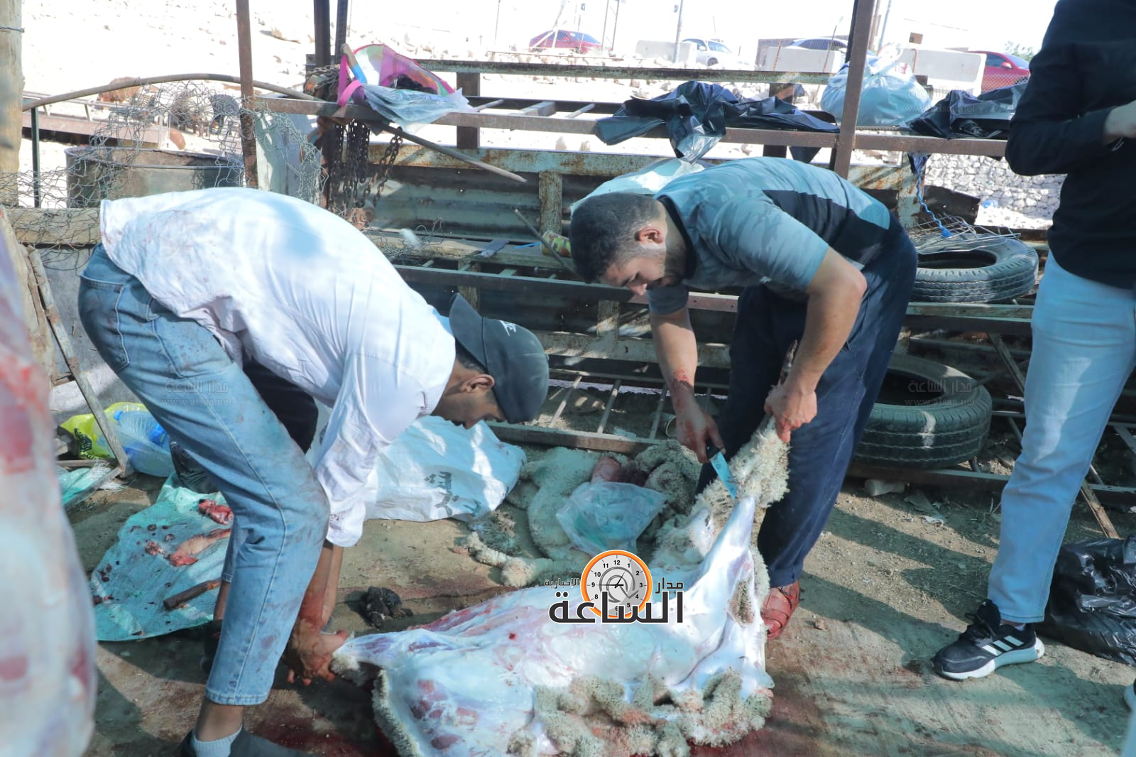 Madar Al-Saa Images 0.5684351256384048